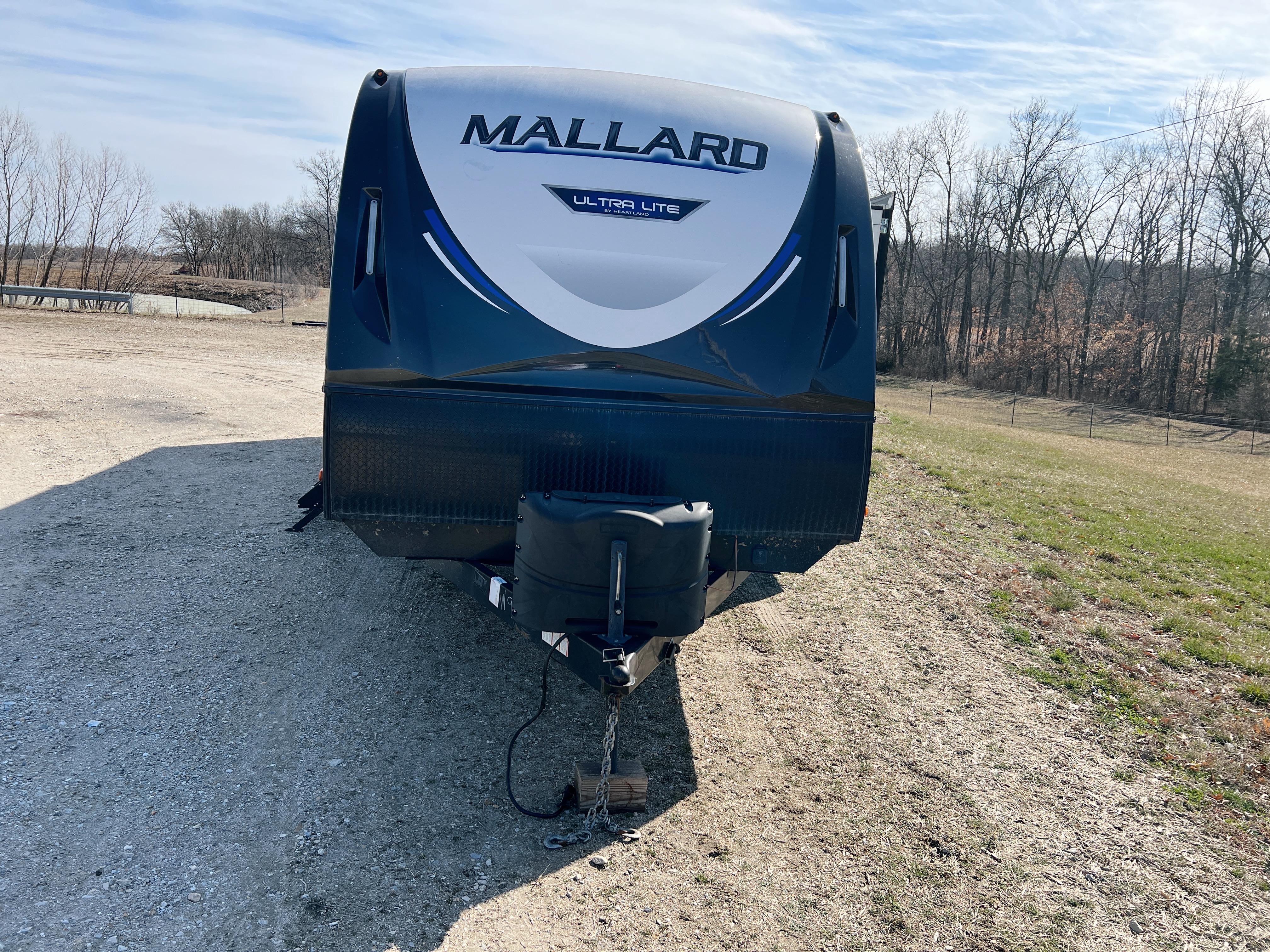 Bella – Heartland Mallard M26